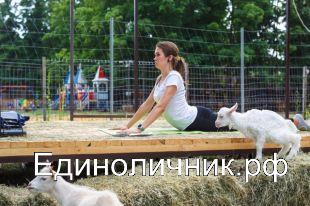 Хочешь быть здоров, обнимай козов!))